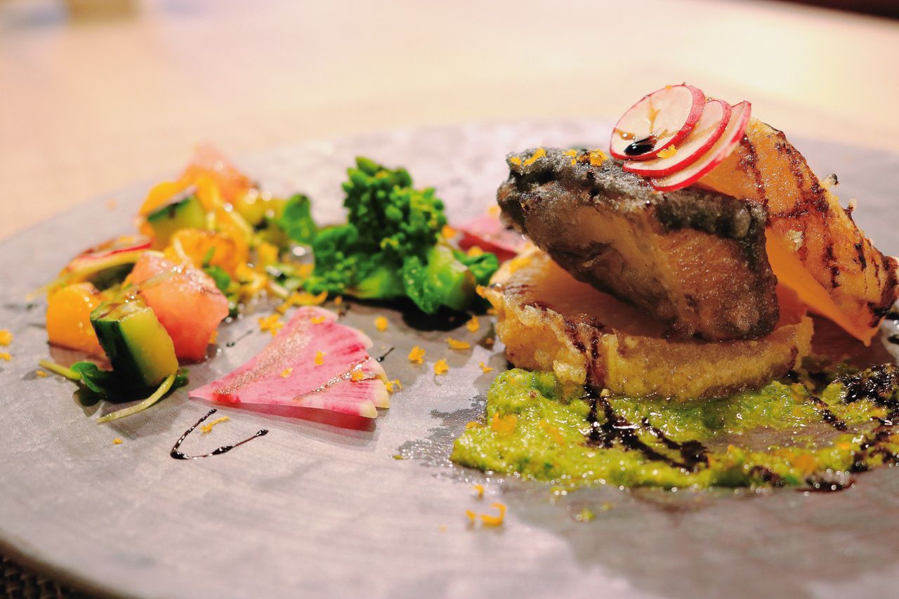 A blissful course featuring seasonal flavors and tempura [with free pairings of 51 fine sakes]