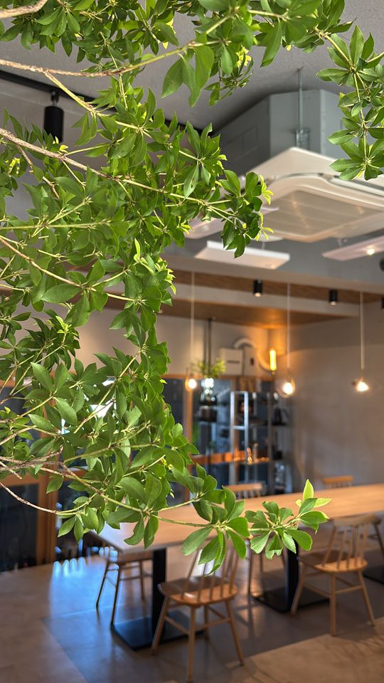 [5 to 12 people]  "Share Course" 5,000 yen