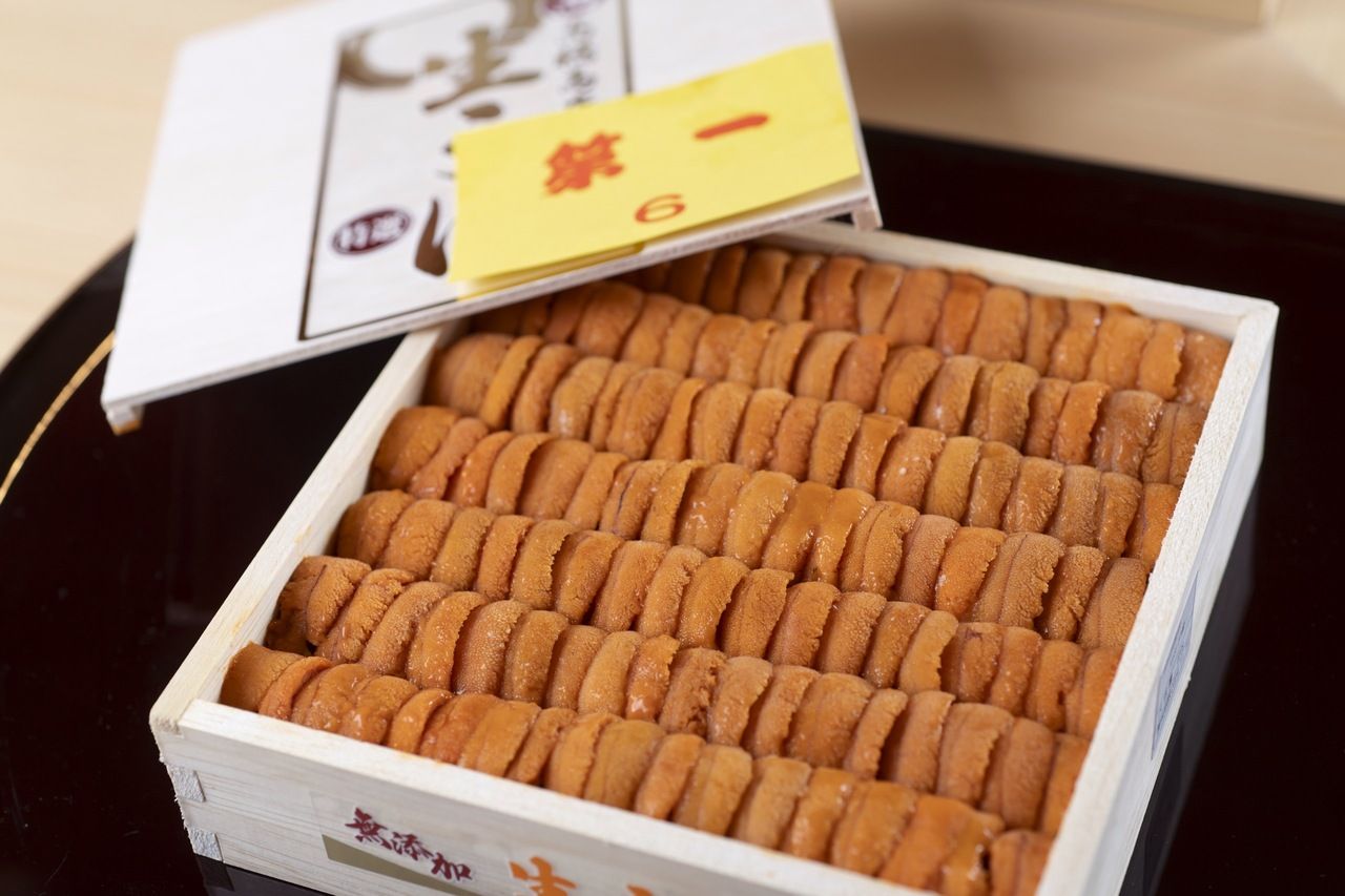 昼の握りおまかせ　