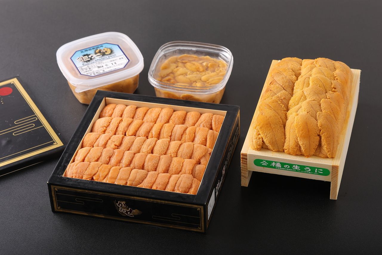 【カウンター】おまかせコース「雲丹代官」　握り8~10貫（雲丹3~4種食べ比べ付き）／料理4品ほど