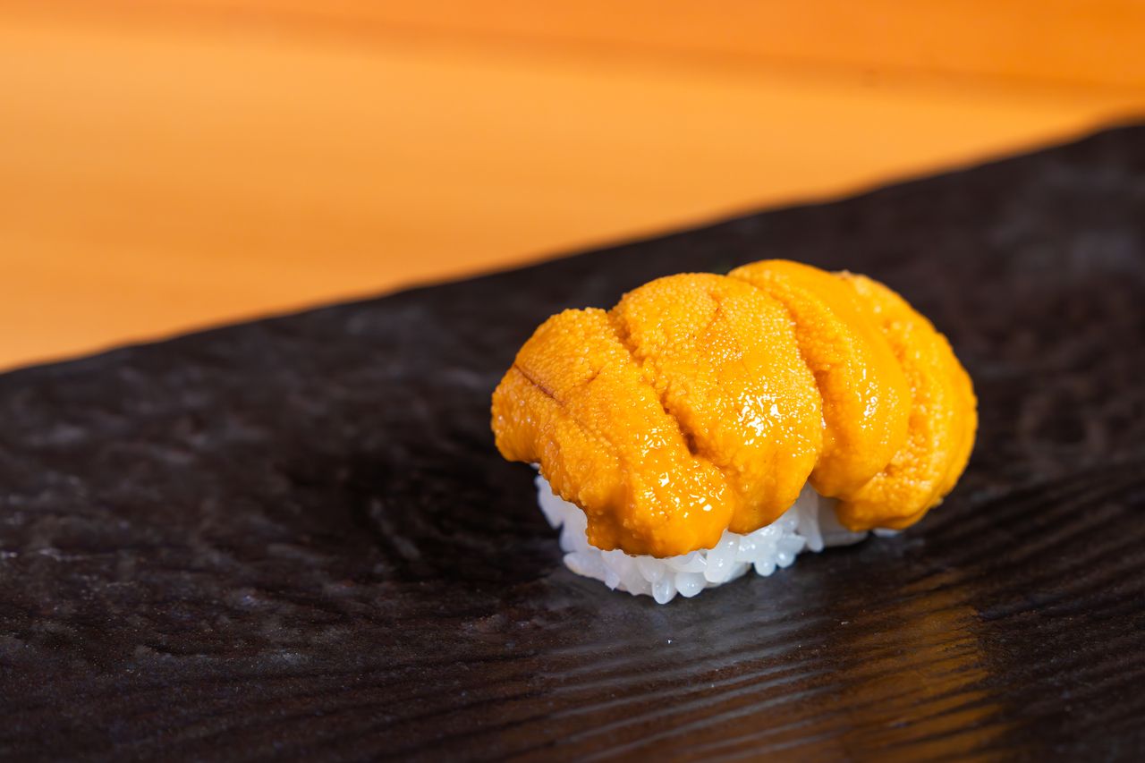 青波【極】コース