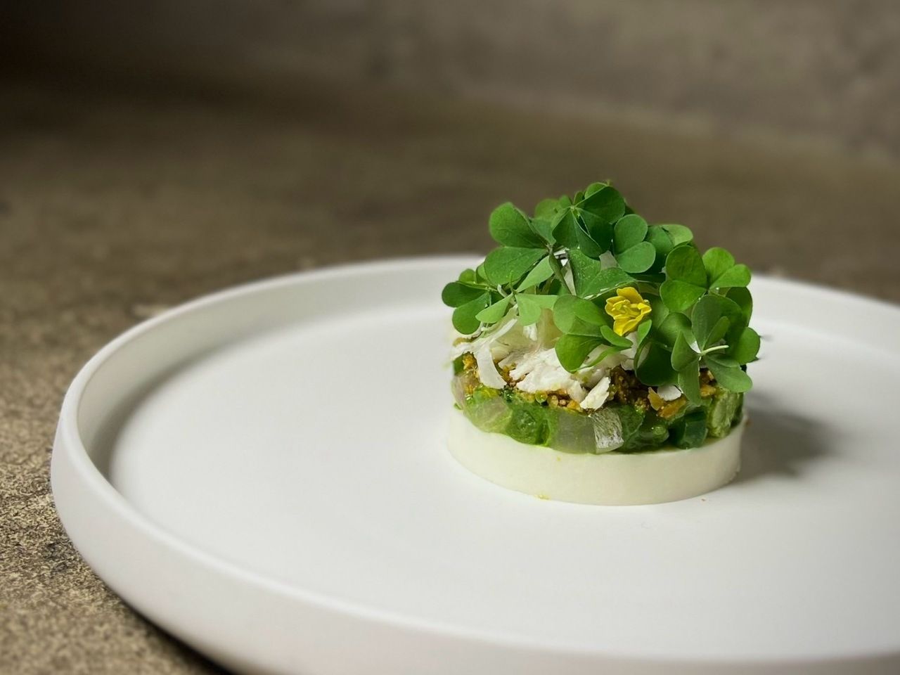 ランチコース  (土曜限定) + ペアリングドリンク5種