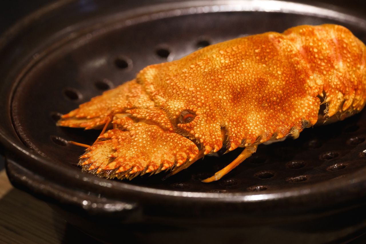 績 — TUMUGI — 2025