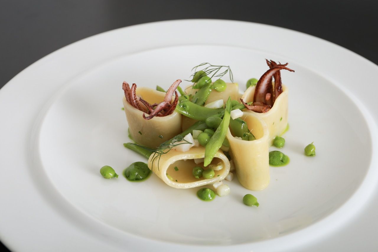 TRADIZIONE（6plates）