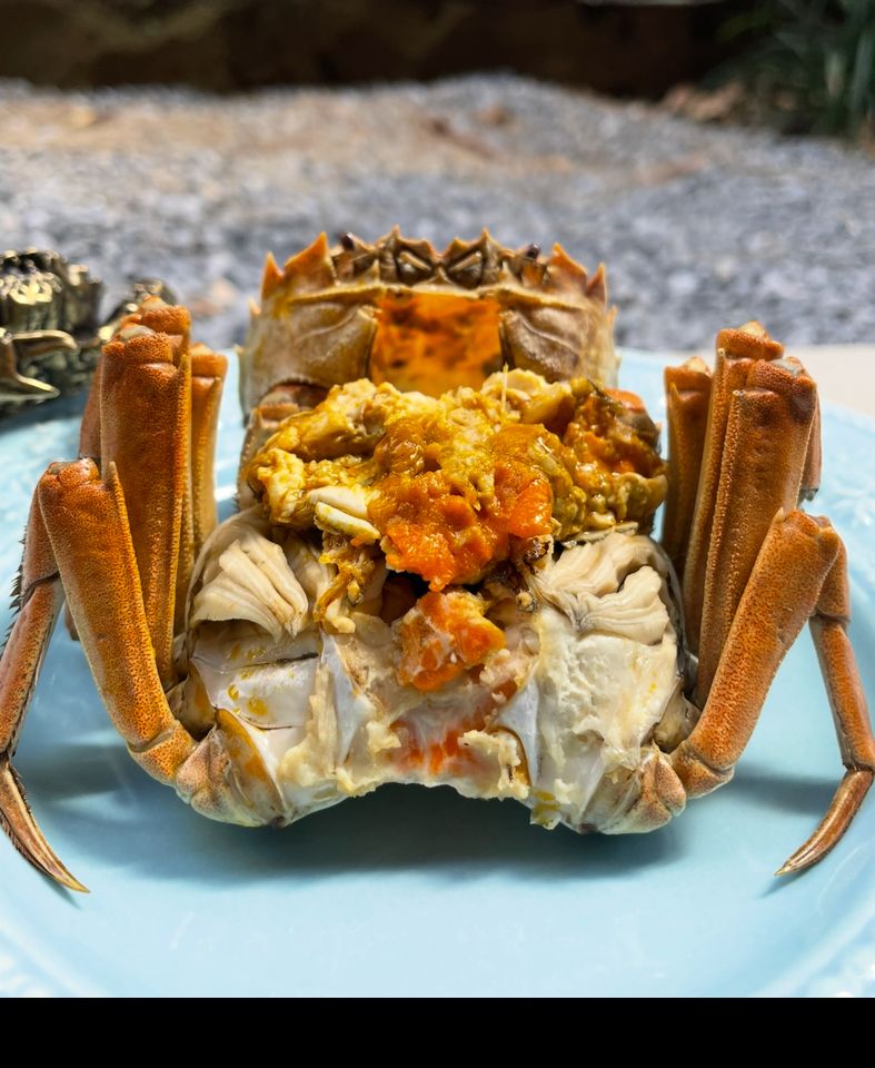 期間限定両巨頭満喫！上海蟹(メス蟹)の甲羅詰め蒸籠蒸し、上海蟹の紹興酒漬け。フカヒレの姿煮込み濃厚な鶏白湯のコクとそのタレを纏ったおこげ。お花のブーケのように包む100℃でダック。余す事なき至福のコース。