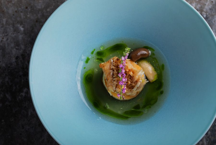 Special Course — Reopening Celebration