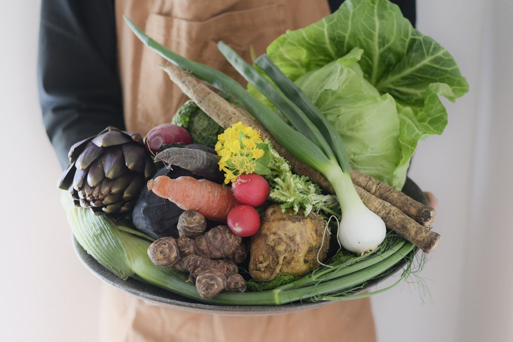 【ランチ】季節のおまかせコース