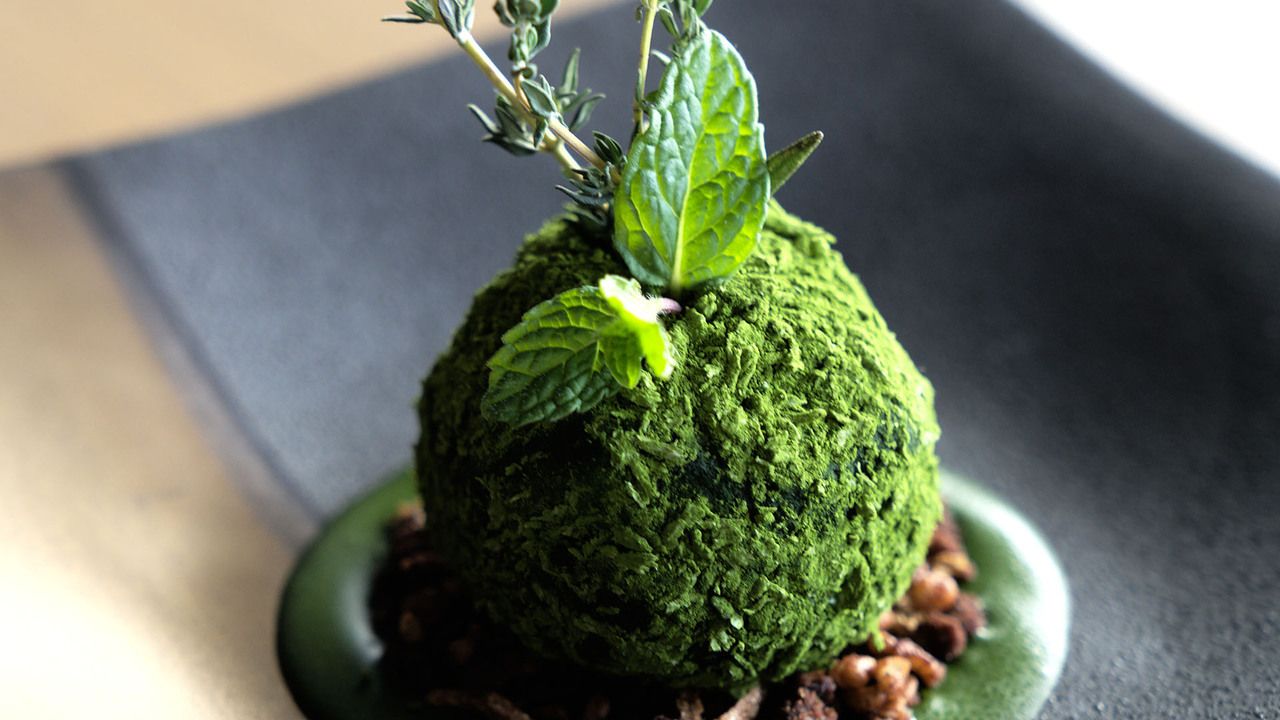 【Limited to 10 serving】Bonsai Tiramisu