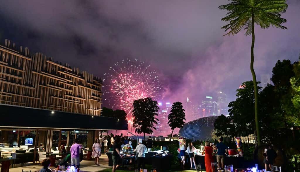 Fireworks Countdown - Adult (with Alcohol)