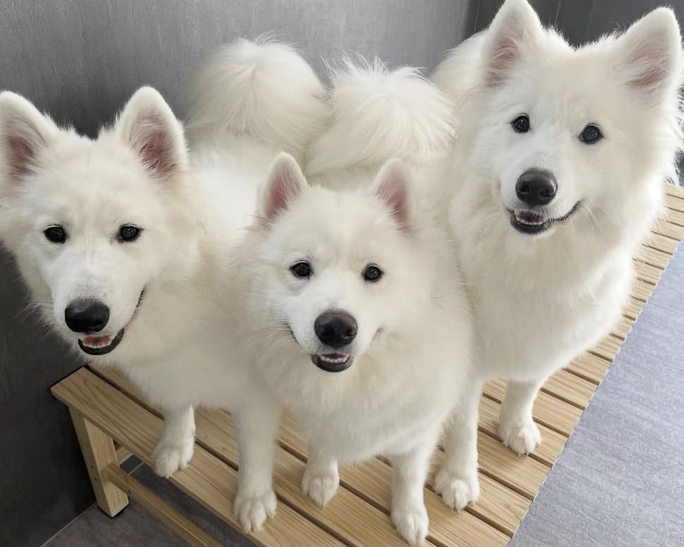  Regular ticket (50 minutes)