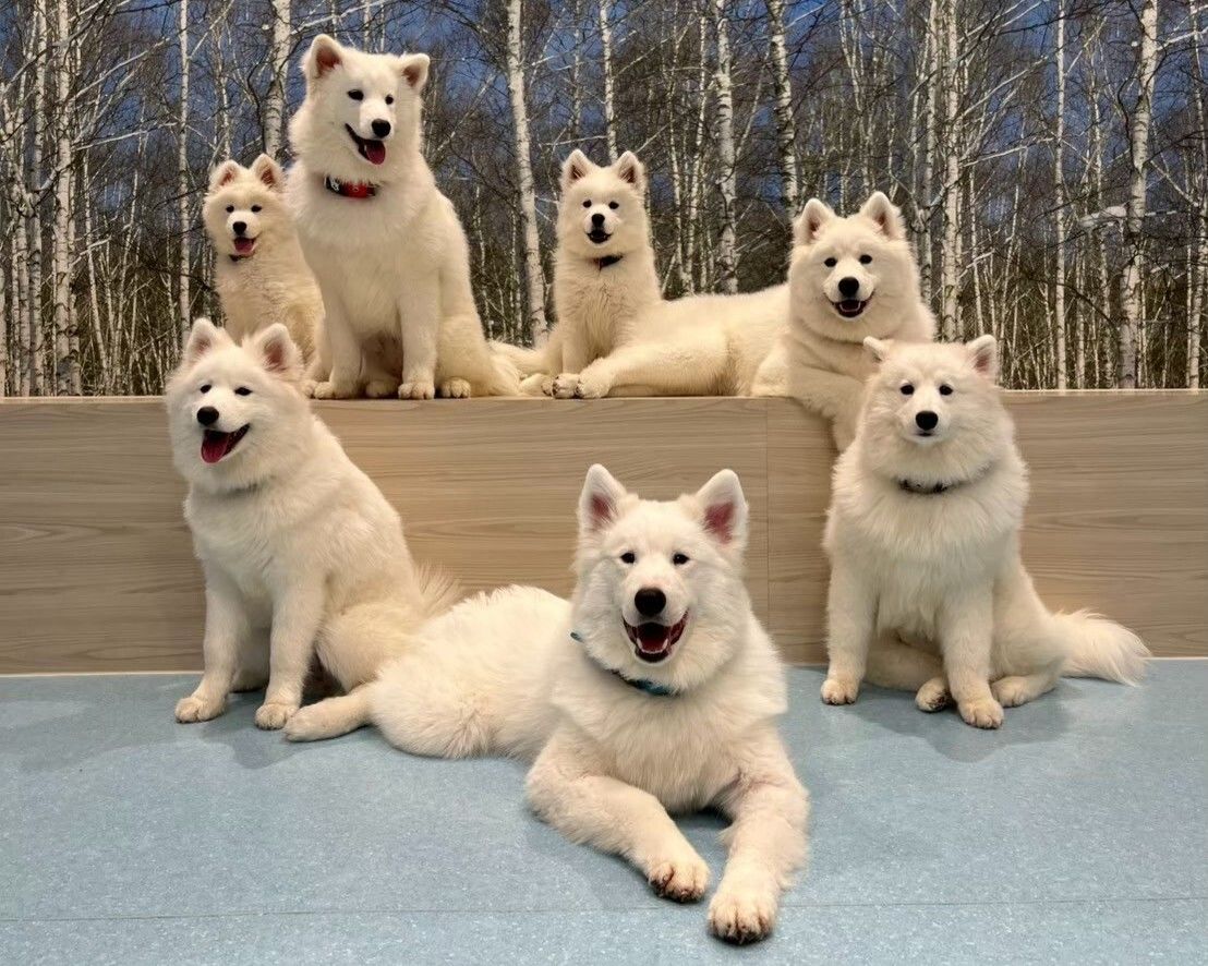  Regular ticket (50 minutes)