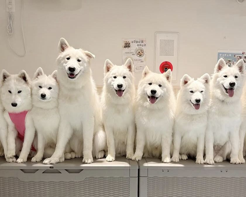 ≪겨울 휴가 기간 ≫통상 티켓(50분)