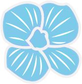 期間限定ランチ！２月のコーヒーエイト ウェロニカで楽しむフランス料理(1日2組愛犬の同伴OK)