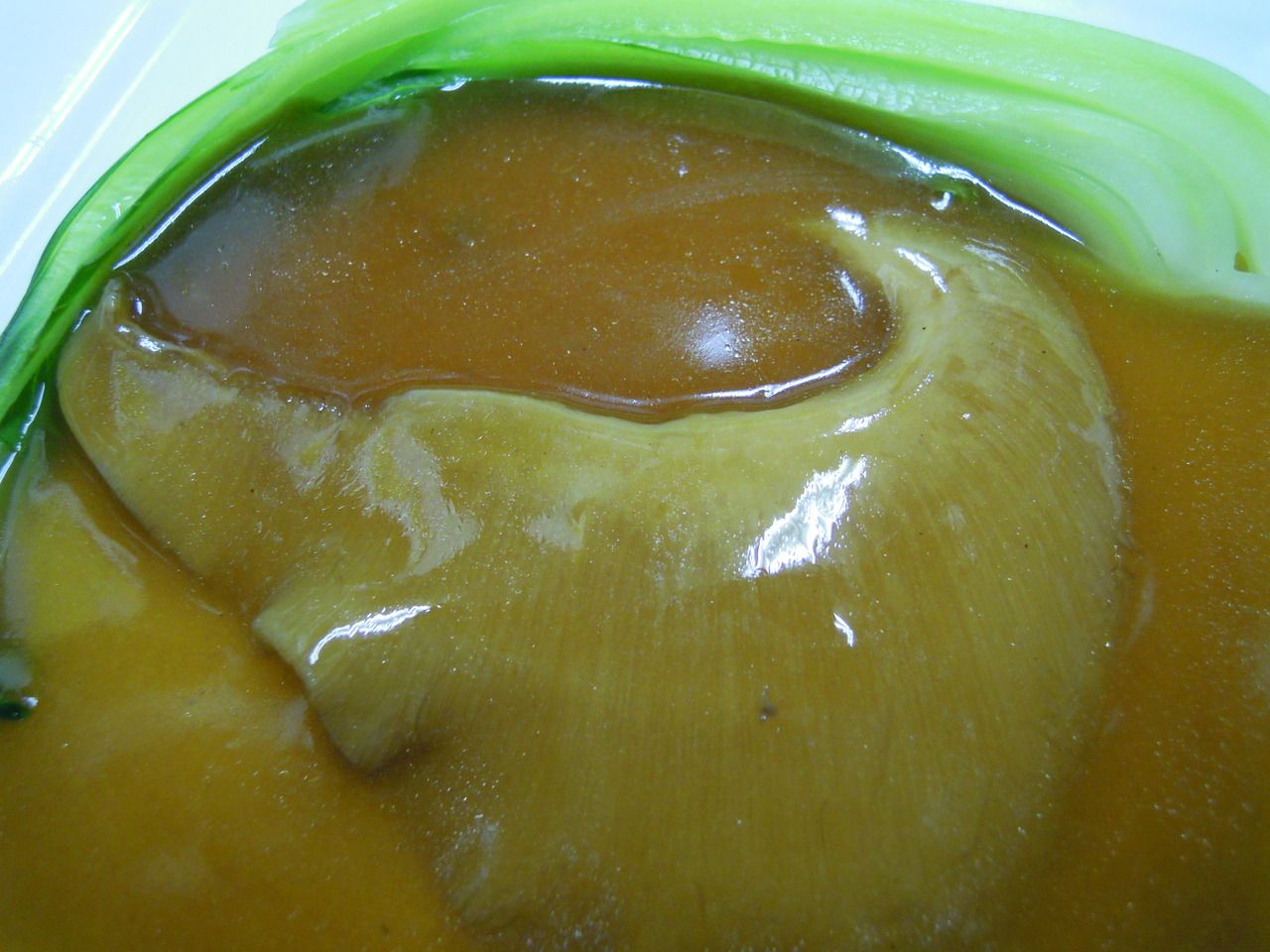 [Tonight] Special Dinner Course - A special occasion for an important occasion