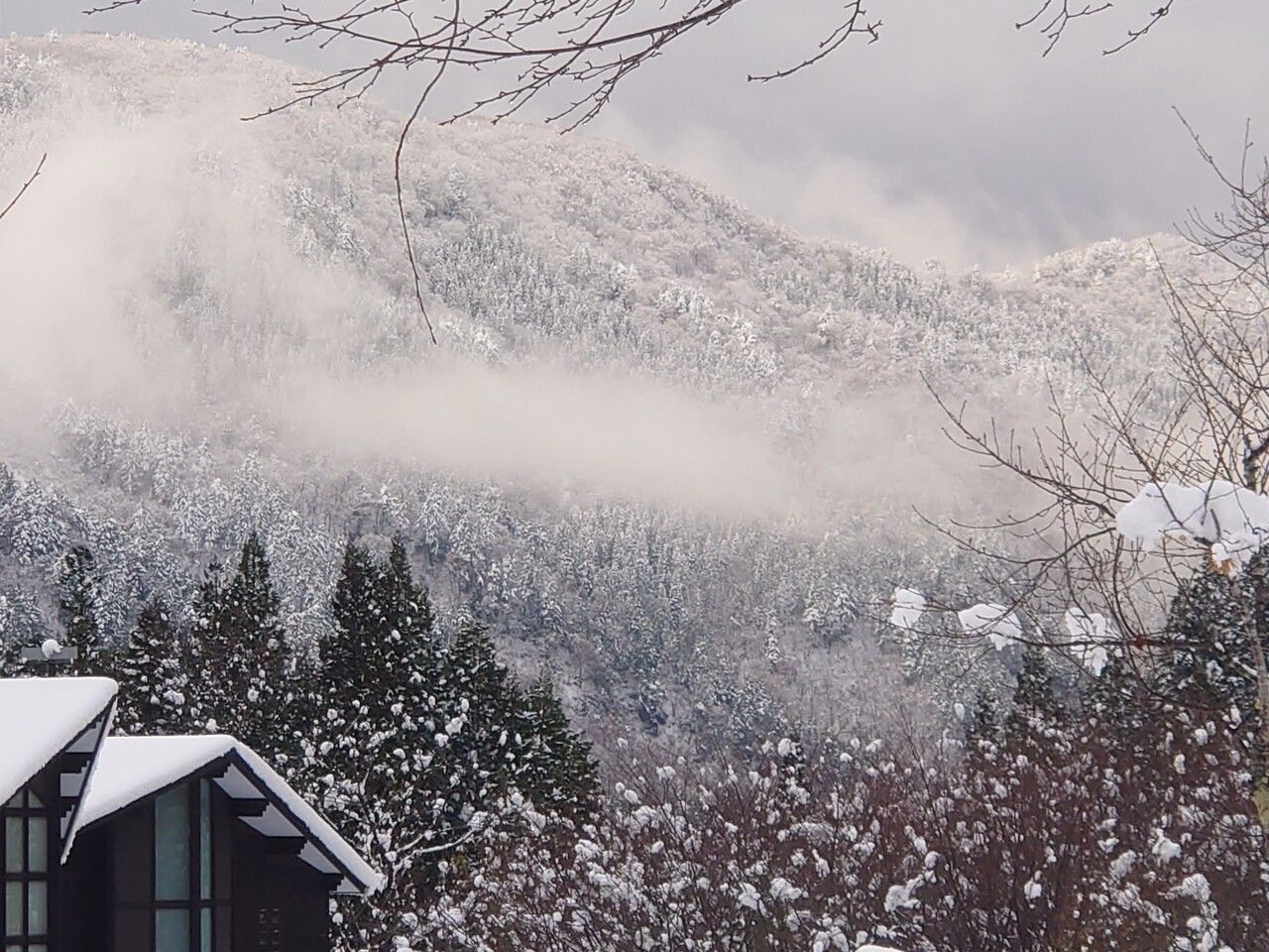 <夕朝食付2名>木の温もりあふれる広々コテージ一軒家