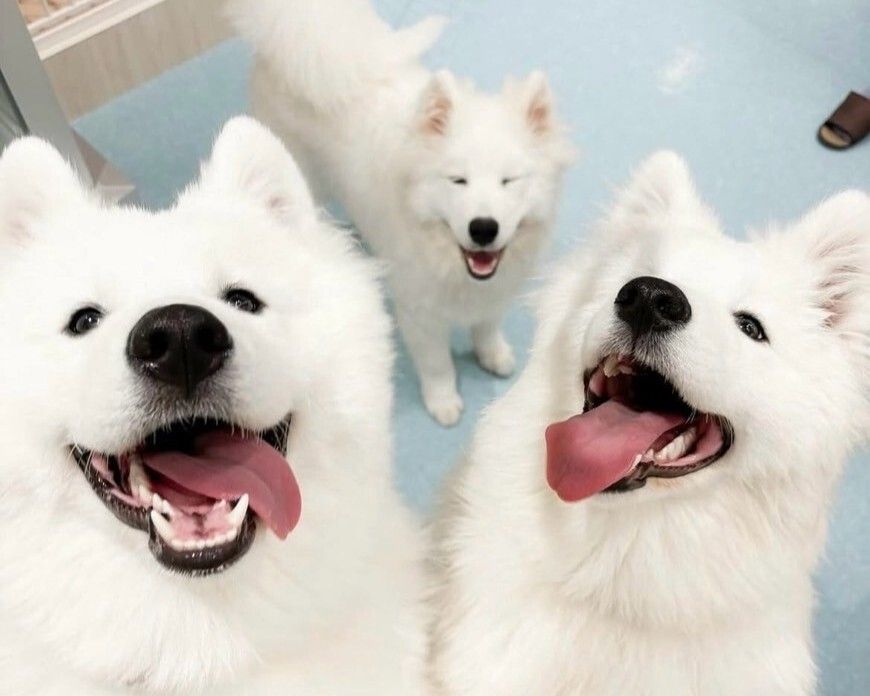 Weekdays: Standard ticket (50 minutes)