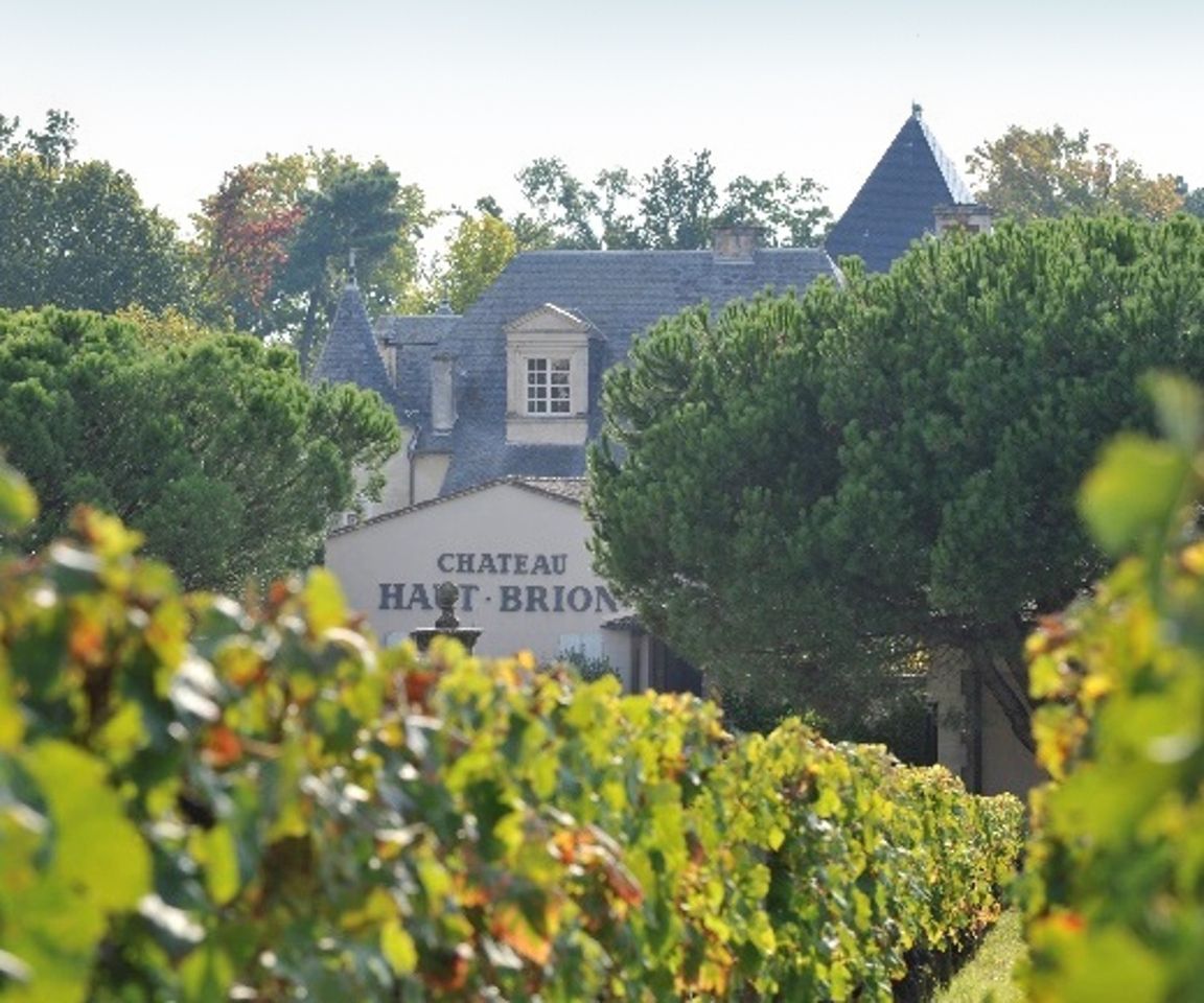 「桃花林」×名門ディロン家の饗宴