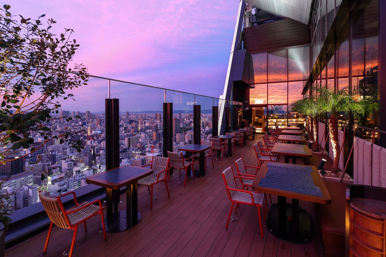 Appetizer + Free Flow Plan