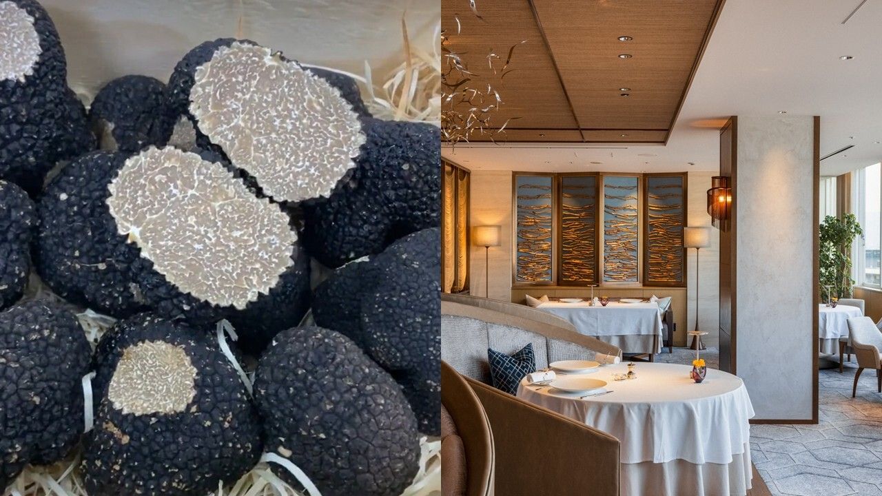 【6/6-6/21限定】Dîner spécial à la Truffe