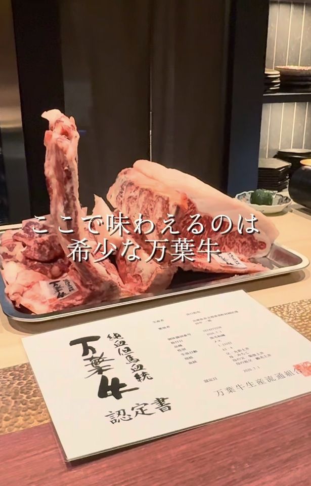 Celebrating the opening of Ushi-akari: Special 22,000 yen course