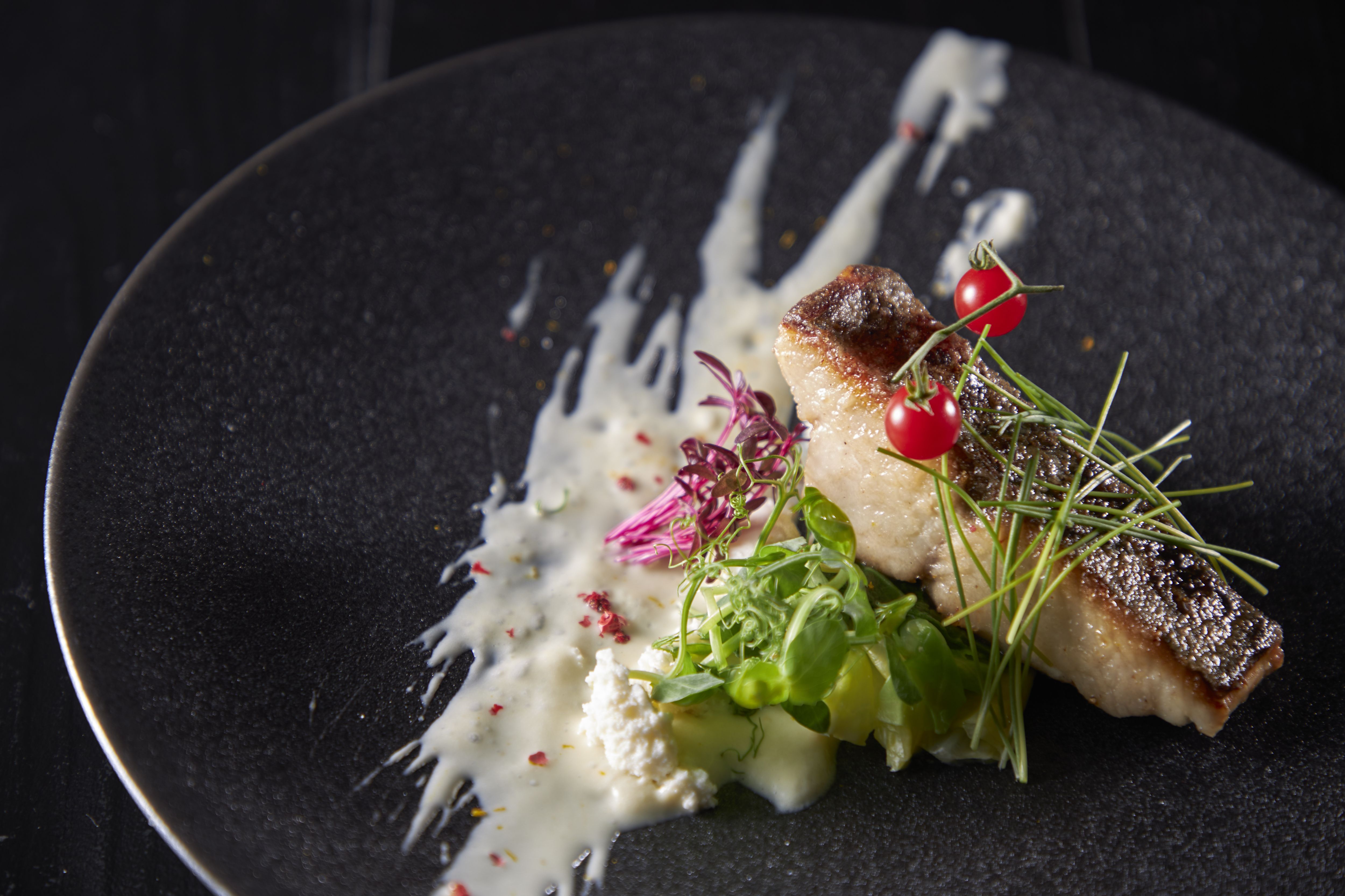 NINJA TOKYO - Restaurant Guide - TableCheck